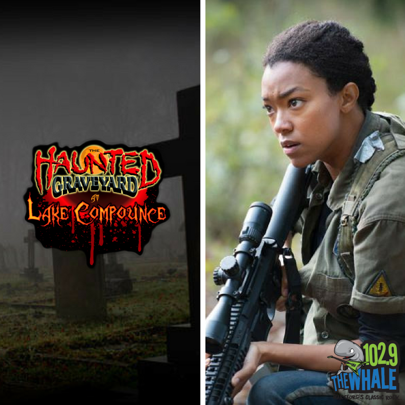 HauntGraveyard's tweet photo. Fan of #TWD? Sonequa Martin-Green (who plays Sasha) visits us this Saturday. For more event info and to buy tickets: https://t.co/HIpO2rH6u3 https://t.co/pHKOPYXGnu