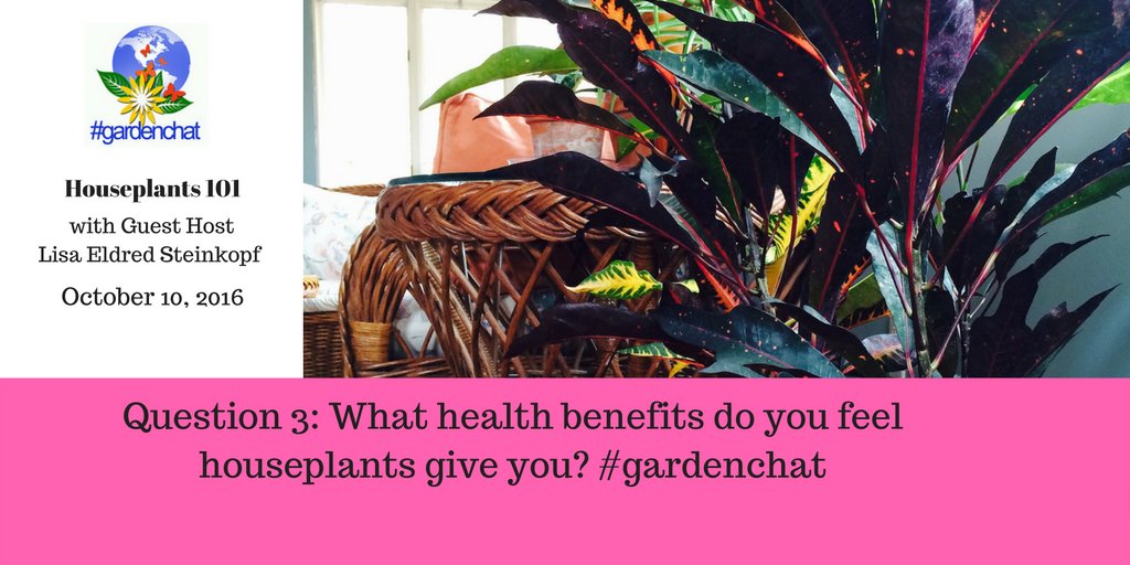 Question 3: What health benefits do you feel houseplants give you? #gardenchat https://t.co/tUOaaKUXYV