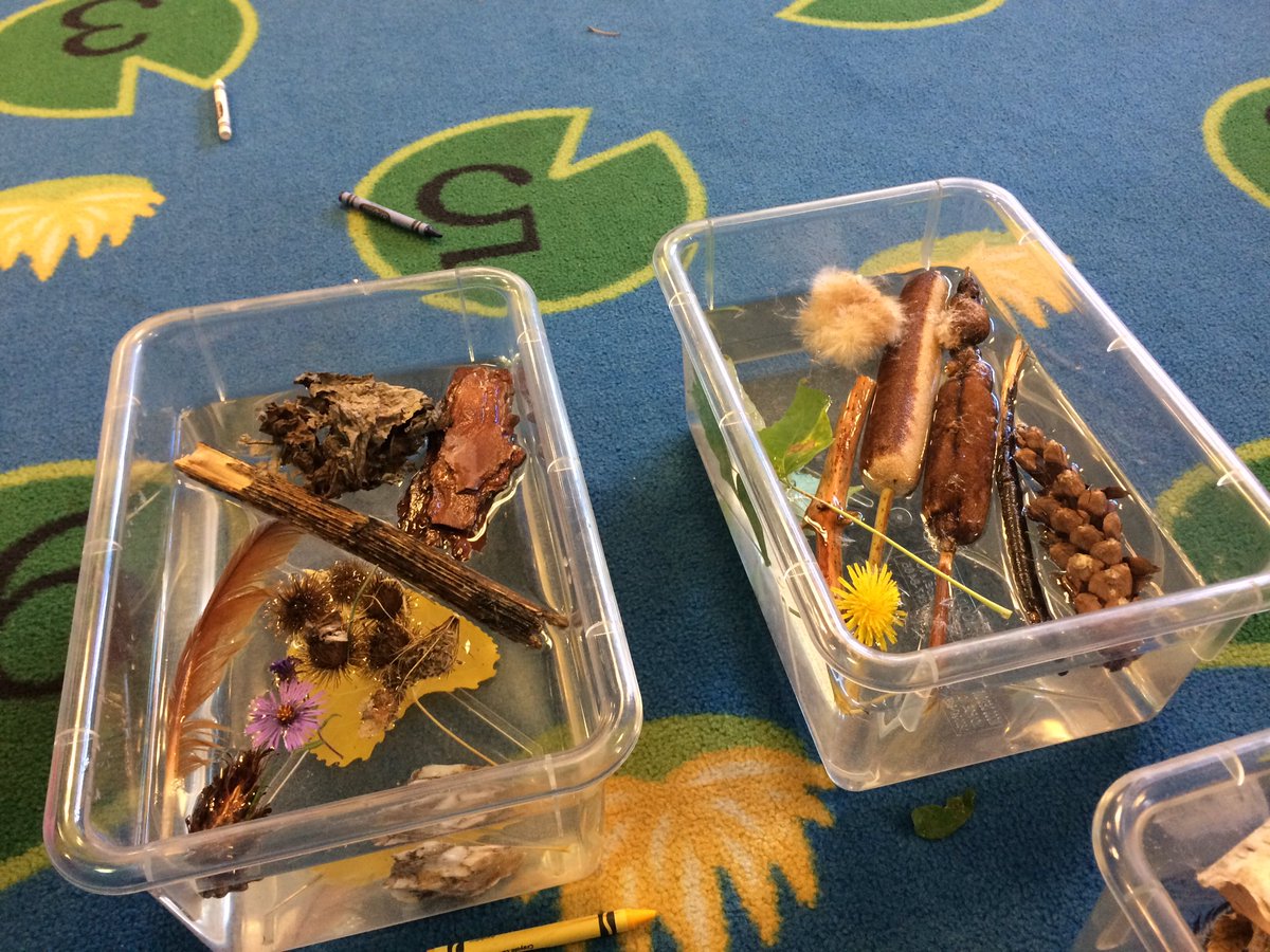 Sarah Read tweet media