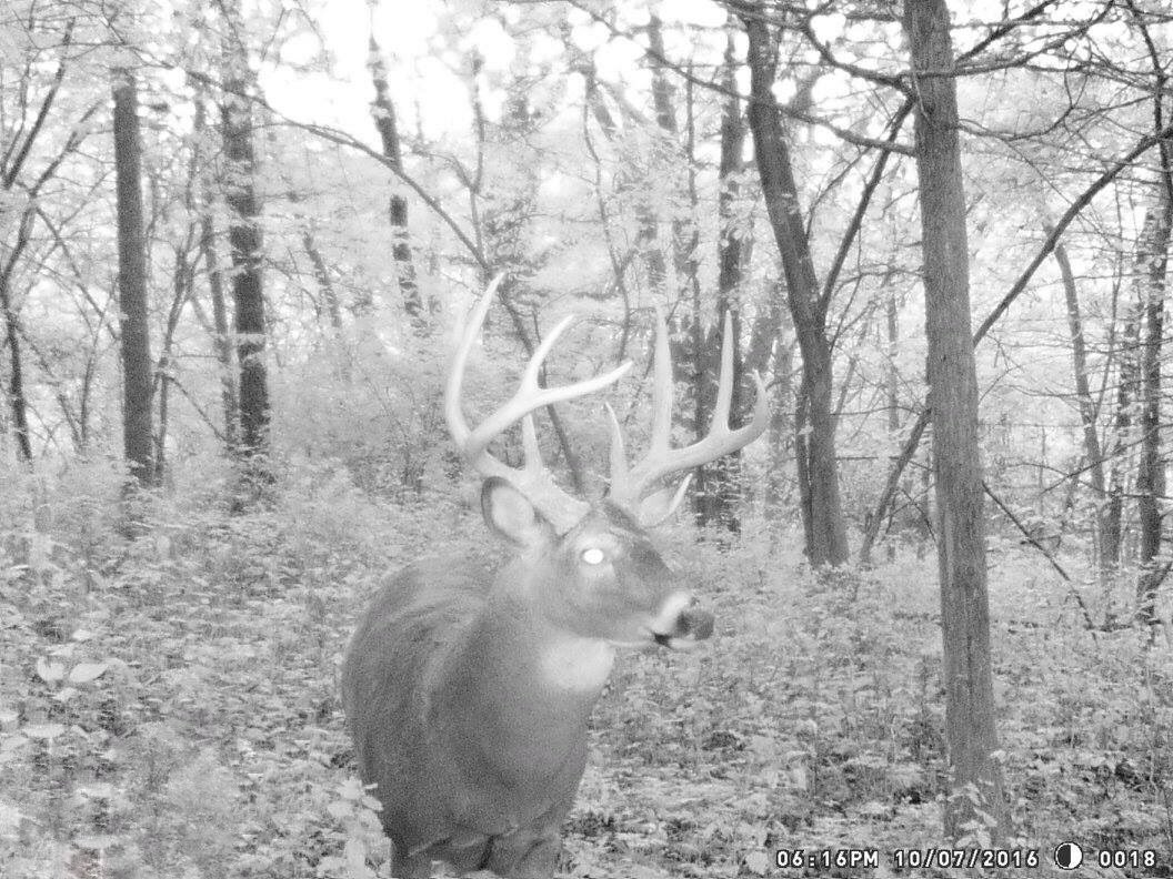 TrophyPursuit's tweet photo. When a shooter is under one stand and you are sitting in another!!!! #gomuddy #thehuntneverends #hitlister #wrongstand!! https://t.co/FFlrpXKXmk