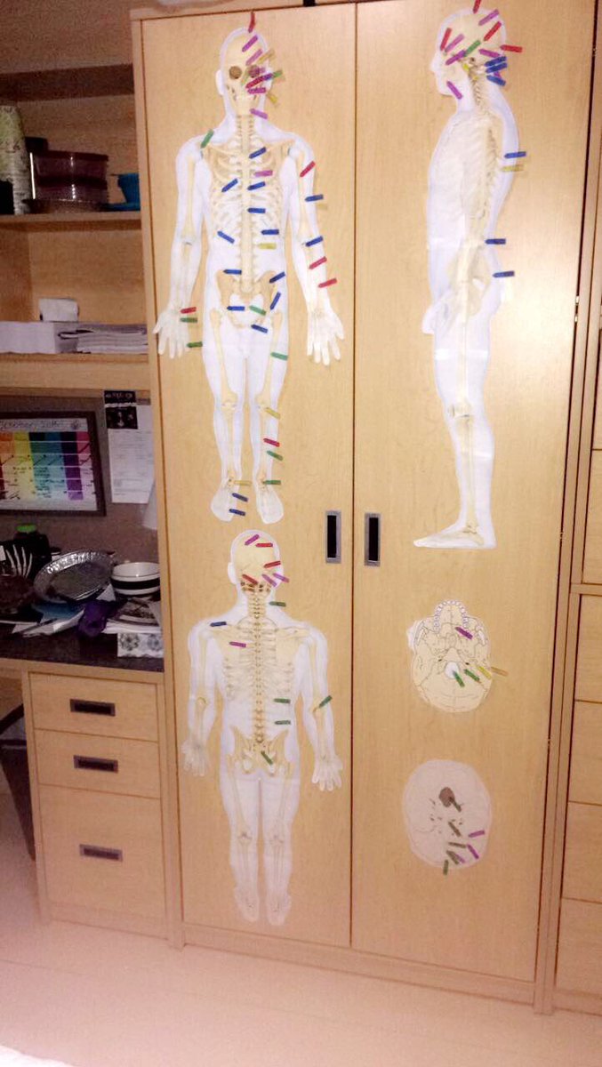 KendraStares's tweet photo. When you're study materials double as Halloween decorations 💀💀 #stuDYING https://t.co/BBiZVgb402