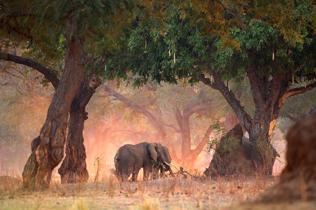Destination_Zim's tweet photo. Sometimes, everything one needs is a place of peace &amp; tranguility, an exchange of the inner beauty with the outer aesthetics. #GotoManapools https://t.co/JgDofBENUc