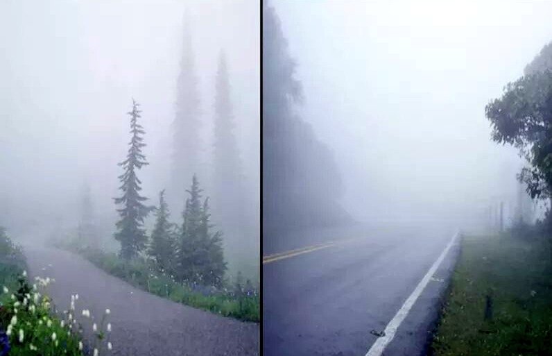 H e i n z tweet media