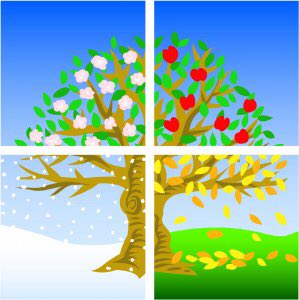 NHHSRaiders's tweet photo. TOMORROW IS SEASONS DAY!
9th - WINTER ❄️☃
10th - FALL 🍁🍂
11th - SPRING 🌸🌼
12th - SUMMER 🌴☀️ https://t.co/JfQmmP336d
