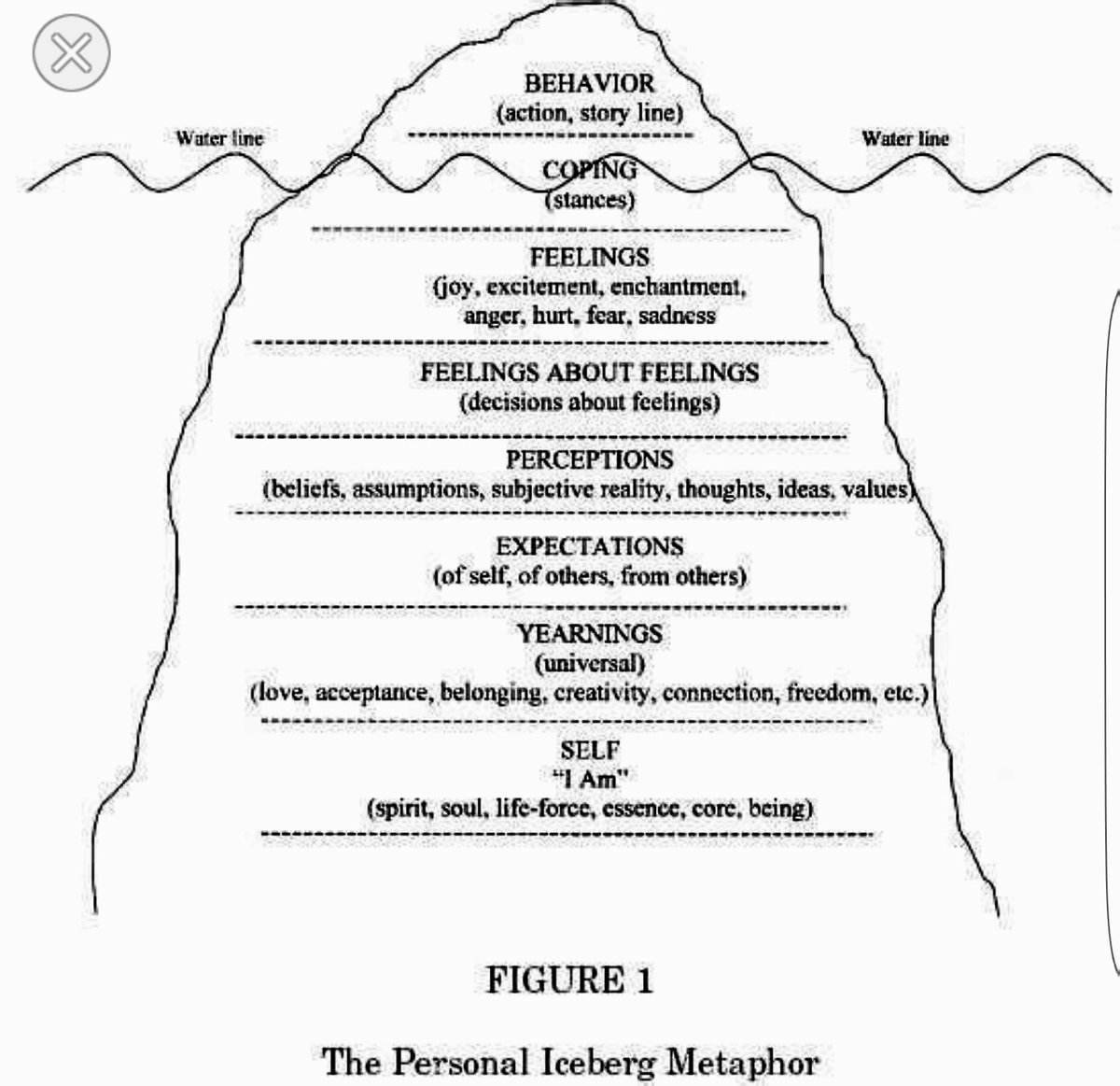 Cat Noppenberger tweet media