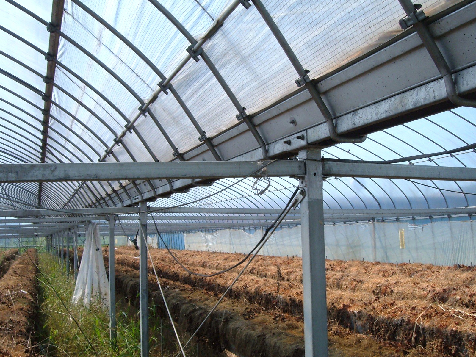 Toshimi Hirayama 平山敏美 Auf Twitter ビニールハウス中古情報 間口6m 三連 奥行き45m 建坪約245坪 解体渡し 基礎石付き トップ高さ3 4m 梁の下で1 85m 建築後約 14年 付属品加温機一台 ネポンハウスボイラー1台 フルタファン2台 フルタ Toshimi Hirayama 平山敏美 Auf Twitter ビニールハウス中古情報 間口6m 三連 奥行き45m 建坪約245坪 解体渡し 基礎石付き トップ高さ3 4m 梁の下で1 85m 建築後約 14年 付属品加温機一台 ネポンハウスボイラー1台 フルタファン2台 フルタ