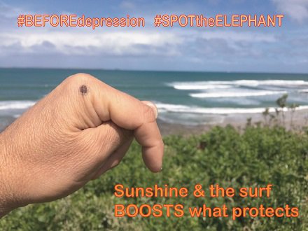 SPOTaCrew's tweet photo. #BEFOREdepression #SPOTtheELEPHANT in the room.
Sunshine & the surf BOOSTS what protects. https://t.co/7lg1YovS5G @SPOTaCrew @BatyrAus https://t.co/98Q2aP56A2
