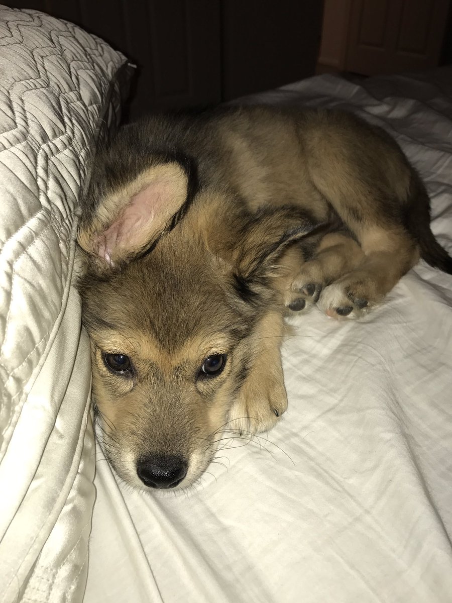 Preston's tweet image. 😭💘