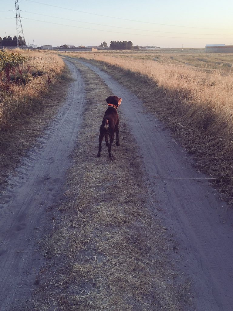 'Averigua lo que te apasiona y luego da tu vida por ello. La pasión genera éxito.' Buenos días a todos vamos a por el martes con fuerza 😊