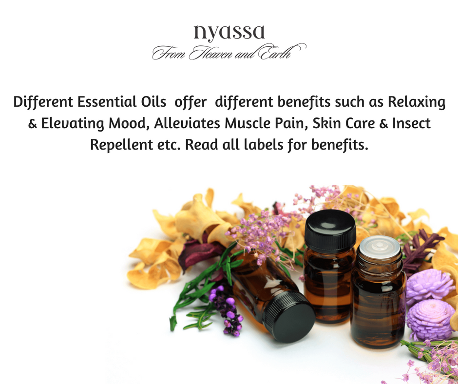 beingnyassa's tweet photo. Different Essential Oils offer different benefits. Read all labels for benefits.
#nyassa #essentialoils #skincare #benefitsofessentialoil https://t.co/fJR7kKLHKX