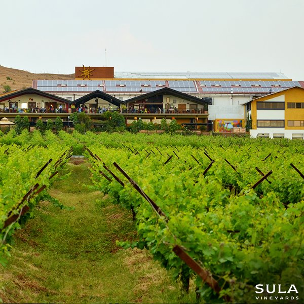 Illustrated by a case study of Sula Vineyards, a seminar on 'Oenotourism is a Key' by <a href="/SJEvansMW/">Sarah Jane Evans MW</a> will be held at AWS-silkroute on Oct 12