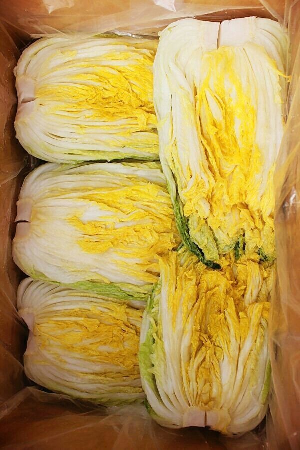 ♥충북음성특품절임배추
*90일 배추 
*농협에서 구입한 간수 뺀 
신안 천일염으로 절임니다.
*특품 1박스 20kg (7~8포기)
*배송일
11.3일 부터
정성을 담겠습니다.
☎ 010-4939-1147