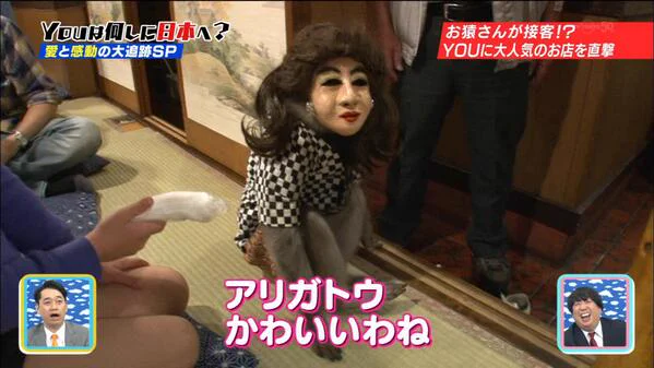 強烈すぎるww 猿がおばさんになって接客してくれる居酒屋がやばすぎww