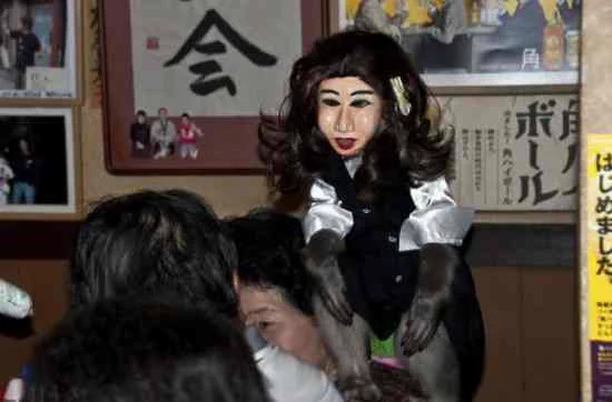 強烈すぎるww 猿がおばさんになって接客してくれる居酒屋がやばすぎww