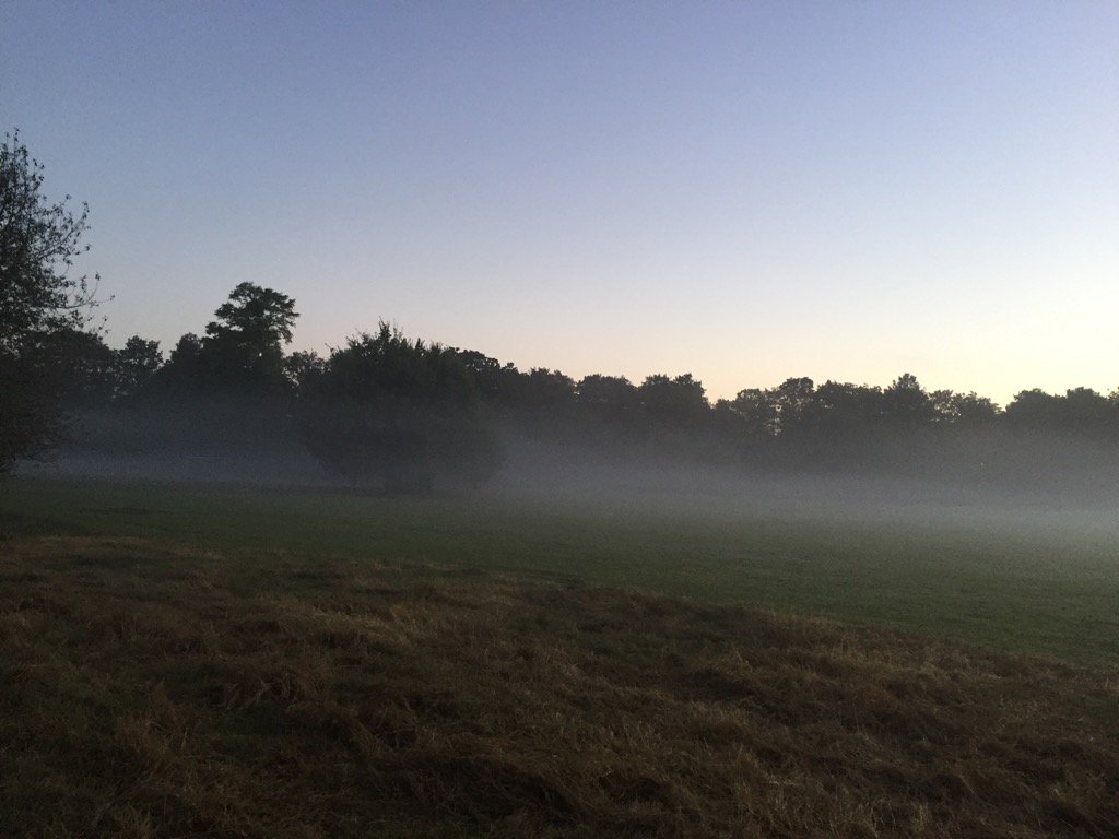 DixcotLocations's tweet photo. Magical morning with clouds encircling trees @honestdave_ @K2ofWimbledon @LocationSW17 @Dazza_London @LocalityLtd https://t.co/OZUnJXFCVz