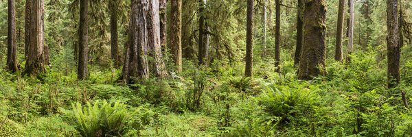 Trackerando's tweet photo. Geht Ihr Vierbeiner gerne auf die Jagd? Mit Trackerando finden Sie ihn sogar im tiefsten Unterholz. #dog #hunting #catchmeifyoucan https://t.co/vWphSTds8o