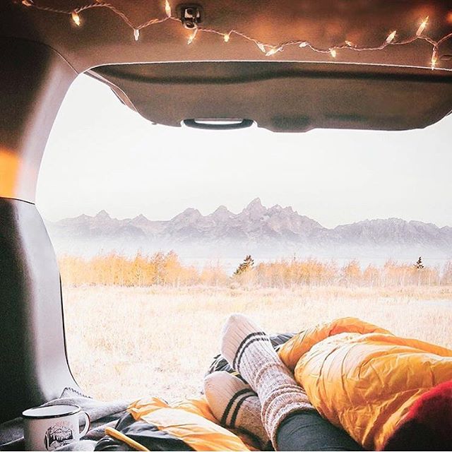 FreePeople's tweet image. Waking up like this // freep.pl/zP8T3051Z1o