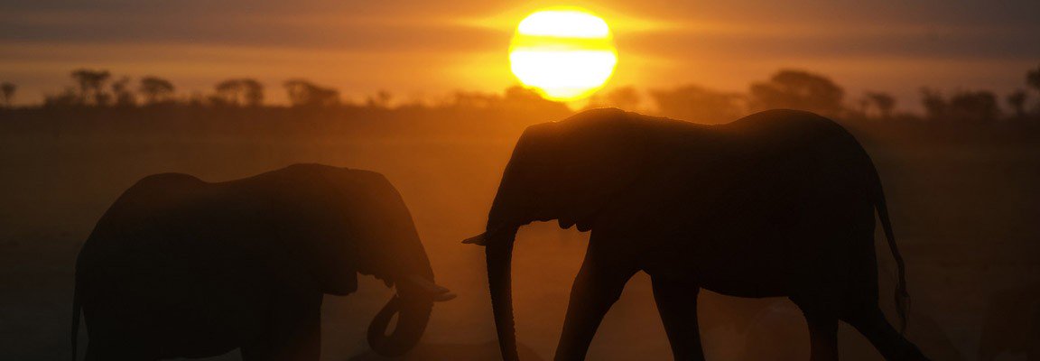 Destination_Zim's tweet photo. There are no foreign lands,It is the traveller only who is foreign.More reasons to put the #Zimbabwesunset on your bucketlist.#VisitZimbabwe https://t.co/IRqIAVH4hy