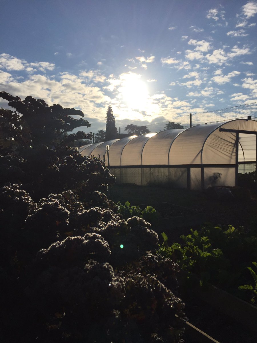 Growhampton (@growhampton) on Twitter photo Good Morning from our edible campus! It's all quite lush down here by the allotments ☀️🌱RoehamptonSU <a href="/The_Hive_Cafe/">The Hive Cafe</a> <a href="/RoehamptonUni/">Uni of Roehampton</a> @Roe_SWO Good Morning from our edible campus! It's all quite lush down here by the allotments ☀️🌱RoehamptonSU <a href="/The_Hive_Cafe/">The Hive Cafe</a> <a href="/RoehamptonUni/">Uni of Roehampton</a> @Roe_SWO