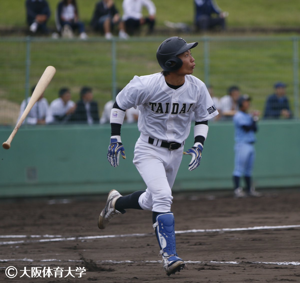 大体大 スポーツ 男子硬式野球部 阪神大学野球 第6節 2回戦 万博記念公園野球場 追手門 １００ ０００ ０００ １ 大体大 ０００ ００２ ０４ｘ ６ 菅原秀が１１奪三振で完投 ６回に青木聡汰のツーランホームランで逆転 １５日に天理大に勝てば