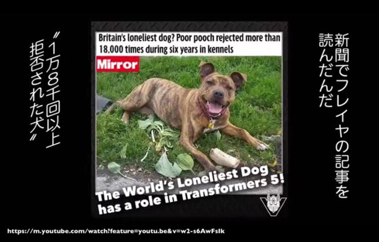 ミーハーな海外映画news トランスフォーマー 世界一孤独な犬を起用 シリーズ次作 The Last Knight マイケルベイ監督が6年間施設で 過ごし 世界一孤独な犬 と話題に なったフレイヤを起用 アンソニーホプキンスも 良い女優さんだね と褒める
