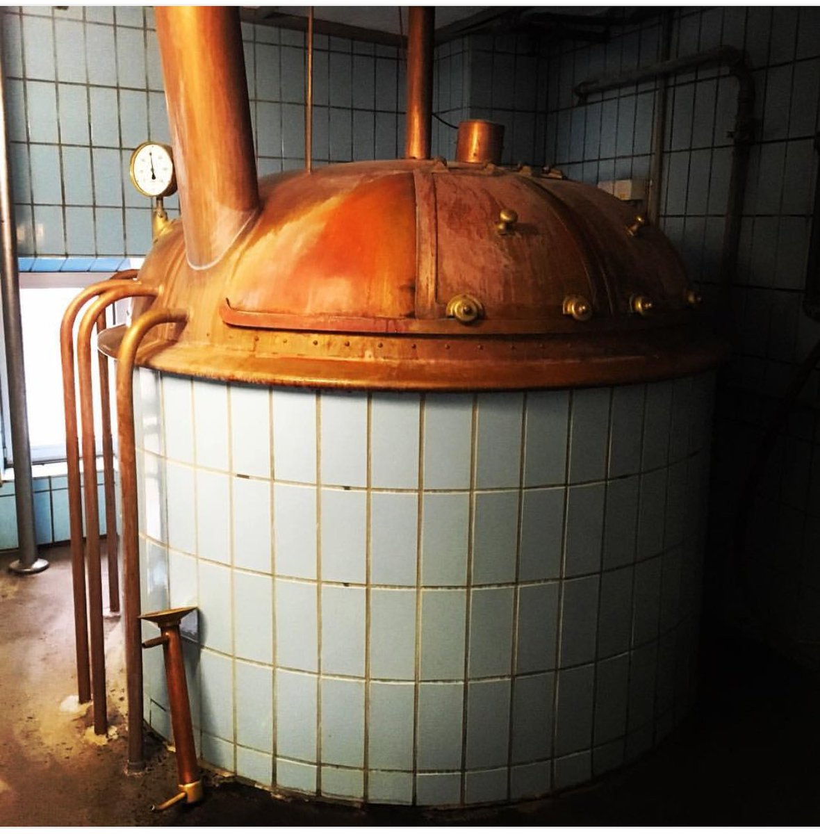 Our man in Germany <a href="/FlorianPerschel/">F</a> is brewing with the legendary and lovely <a href="/ganstallerbrau/">Gänstaller Bräu</a> #lotsofhops