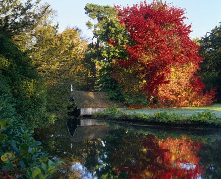 ElephantFunds's tweet photo. "Scotney Castle" https://t.co/7ZxEH6wSbw * Free gifts, &amp; help #animals too! See: https://t.co/ISZZcmIJy2 * Please RT
