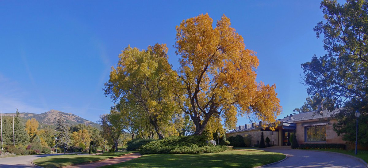 RCGLAHERRERIA's tweet photo. Posiblemente el campo mas bonito del mundo en otoño https://t.co/Ftf3ysIO1K