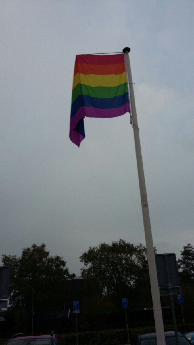 DrielvanMarco's tweet photo. Ook bij @MFALelystad #Hanzeborg @Plein201 @MfaZuiderzee @MfaAtolplaza #Waterbever wappert de regenboogvlag @BGBFlevoland @WelzijnLelystad https://t.co/j6KCOqnt8k
