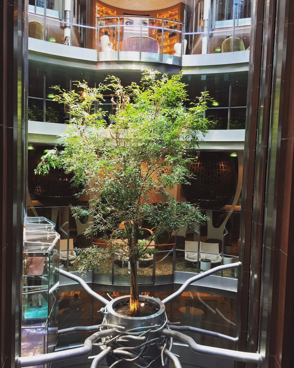 cruiseglossy's tweet photo. Be like a tree and let dead leaves drop! #cruiseship #inspiration #traveltuesday #elevatorlobby #cruise #celebrityreflection #cruiseblogger https://t.co/moo9GtcWKl