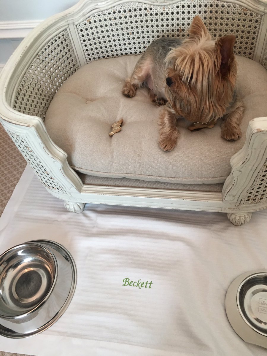 Benimarco's tweet image. Beckett at the Bristol in Paris.