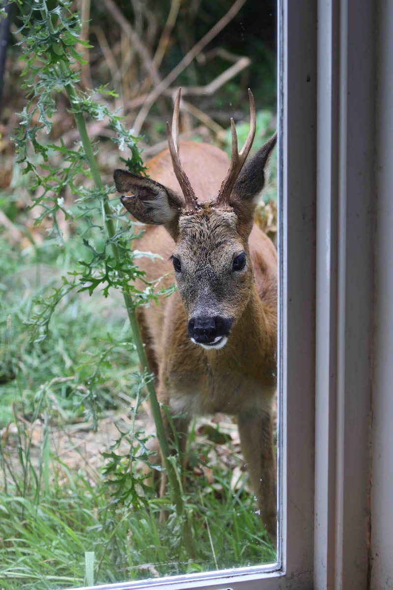 Andrew Cotterill tweet media