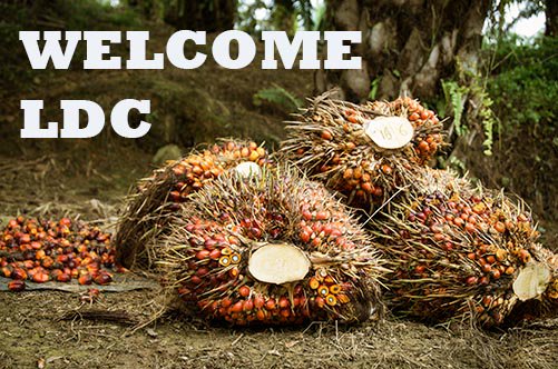 Welcome Louis Dreyfus Company! Looking forward to working with the global commodity company on #PalmOil bit.ly/2dFSLMk