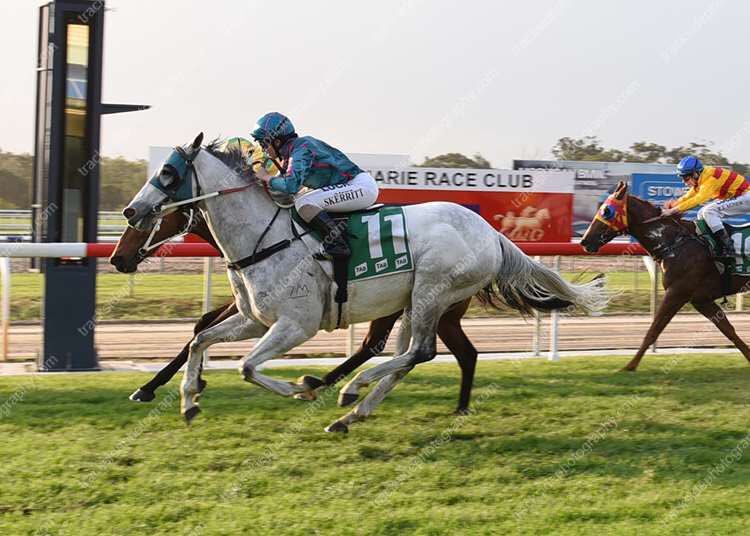 SkerrittA's tweet photo. #blinkinrules #apprenticejockey #win28 #portmacquarie https://t.co/GsN4LNaQR6