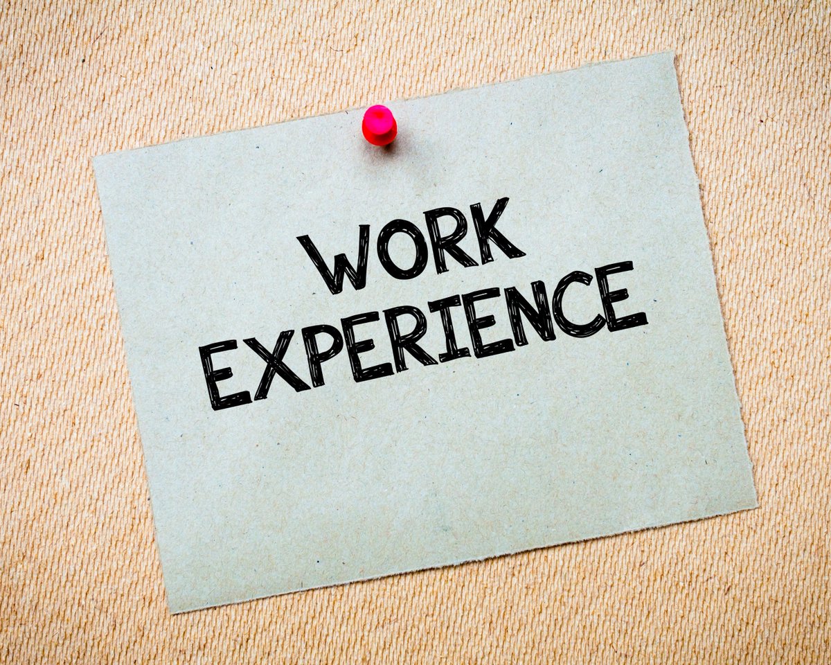 Working experience or work experience. Work experience. Experienced картинка. Work experience none. Work experience перевод.