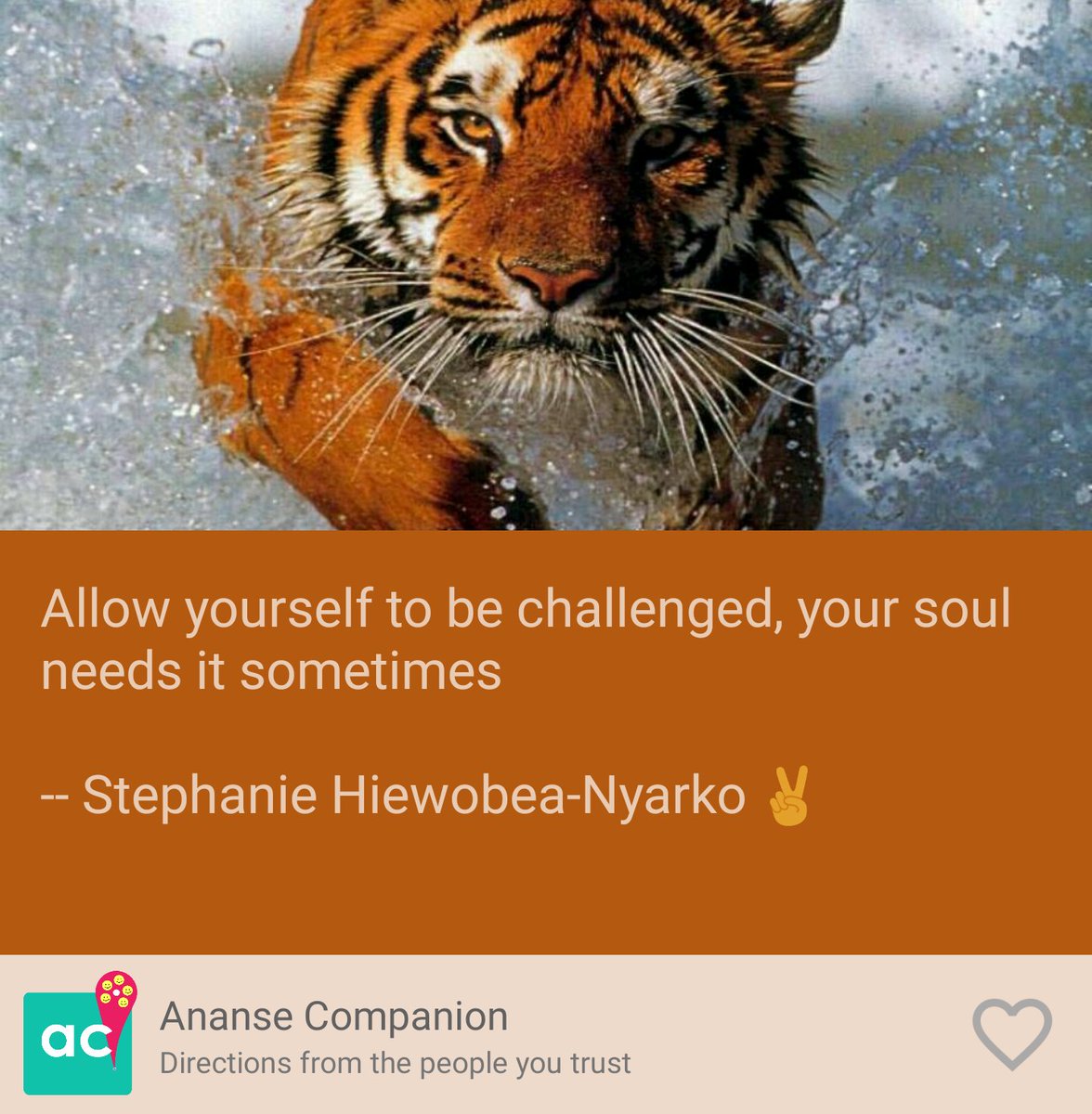 anacquote's tweet image. Good morning #anacquote