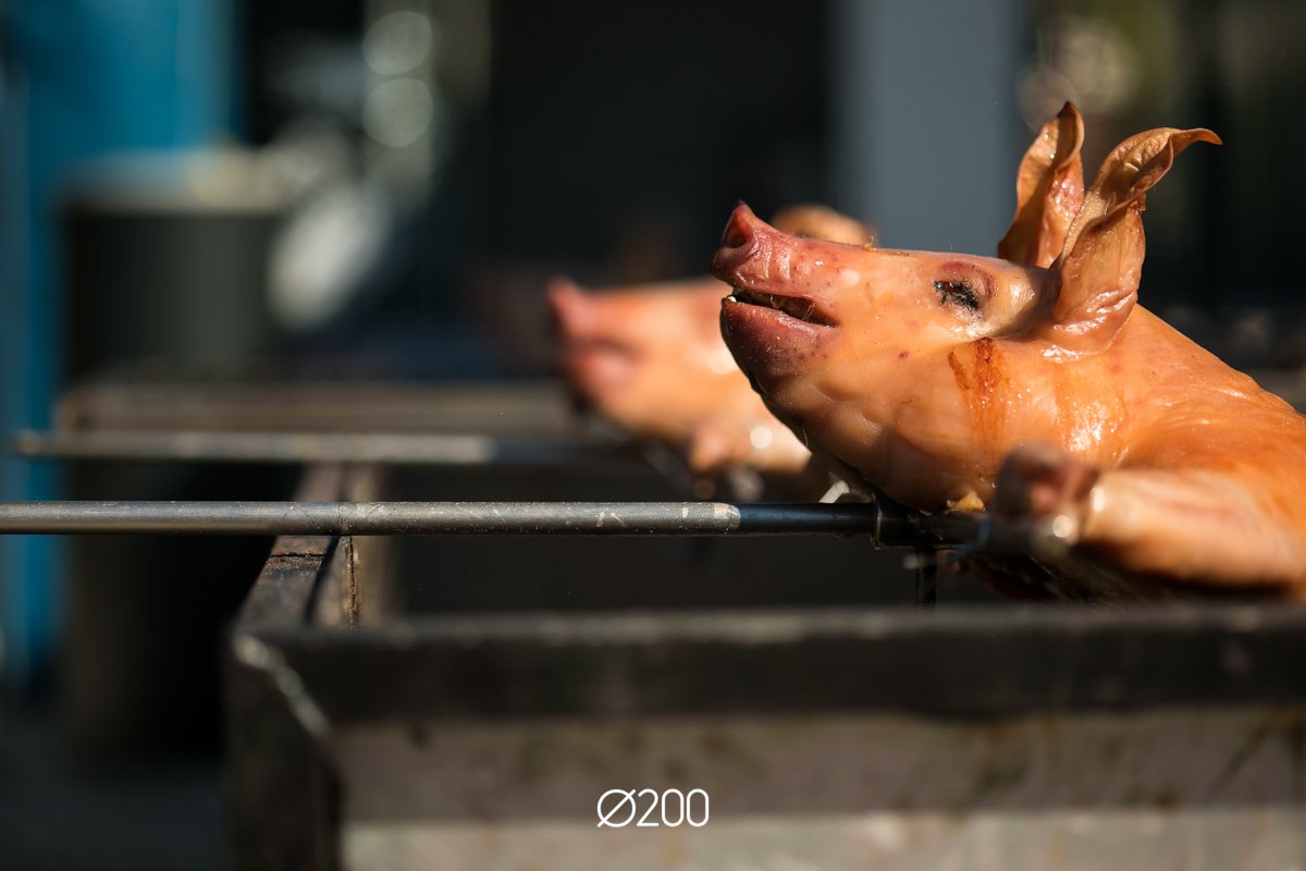 Basatxerri, Euskal Herriko mendietan aske hazitako txerriak. Gurean plantxan egiten dugu udare chutneyarekin. ow.ly/QoSh3053OOE