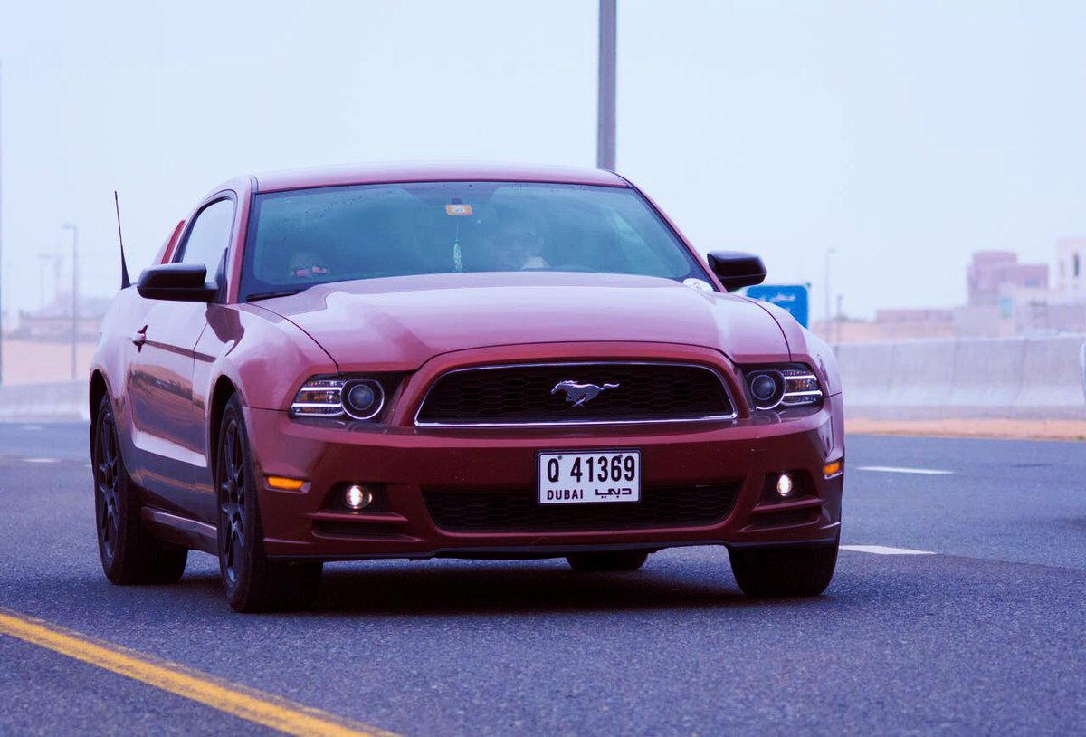 uaecarchicks's tweet photo. Come & meet our #amazingrides
#musclecars #americanmuscle #fastcars #sportcars #dodge #mustang #camaro #carsandheels #dubai #abudhabi #uae https://t.co/58DvbFF4Ii