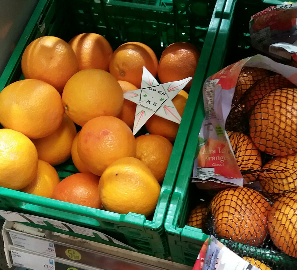 123Green15's tweet image. @ASFOLProject 2 more stars planted.