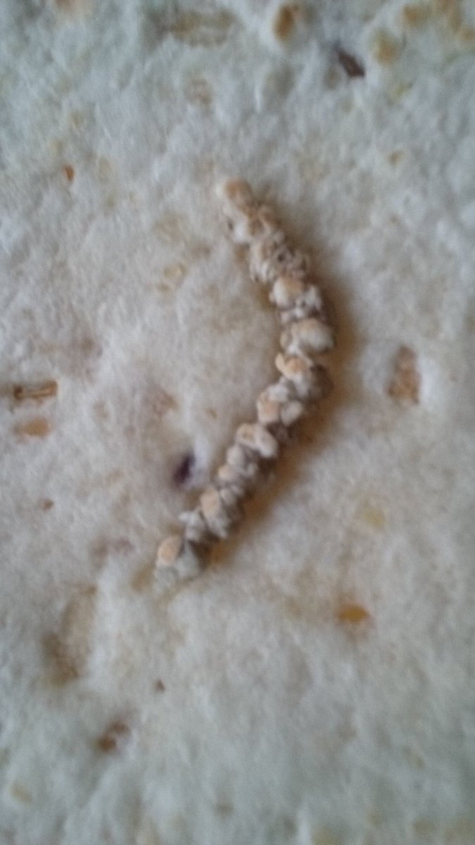 mjstokman's tweet photo. Wat is dit??? @albertheijn https://t.co/llKOd0HiUn