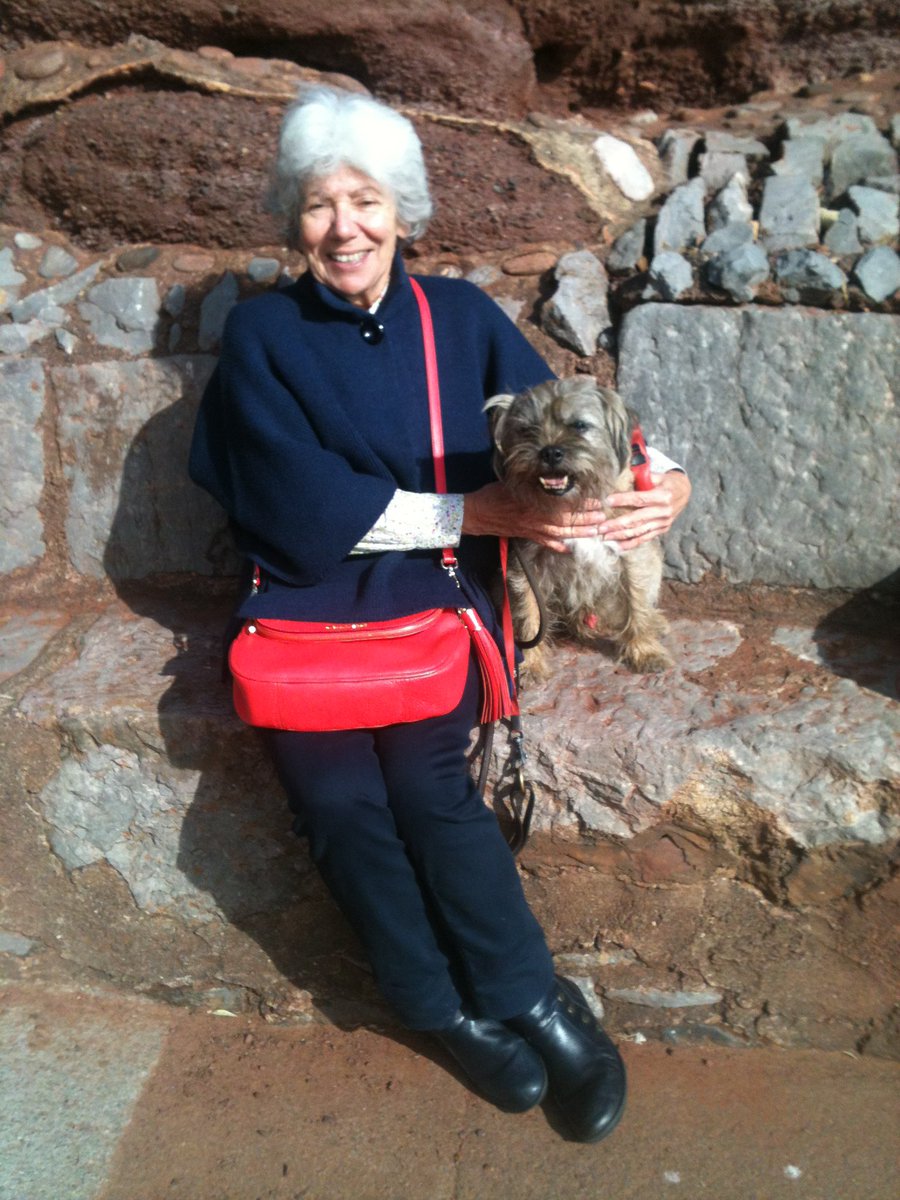 diamondbertie's tweet photo. @MarcLisa_Trivia yesterday Bertie was ten we had a lovely walk at a coastal town called Dawlish https://t.co/UOriWeOQfk