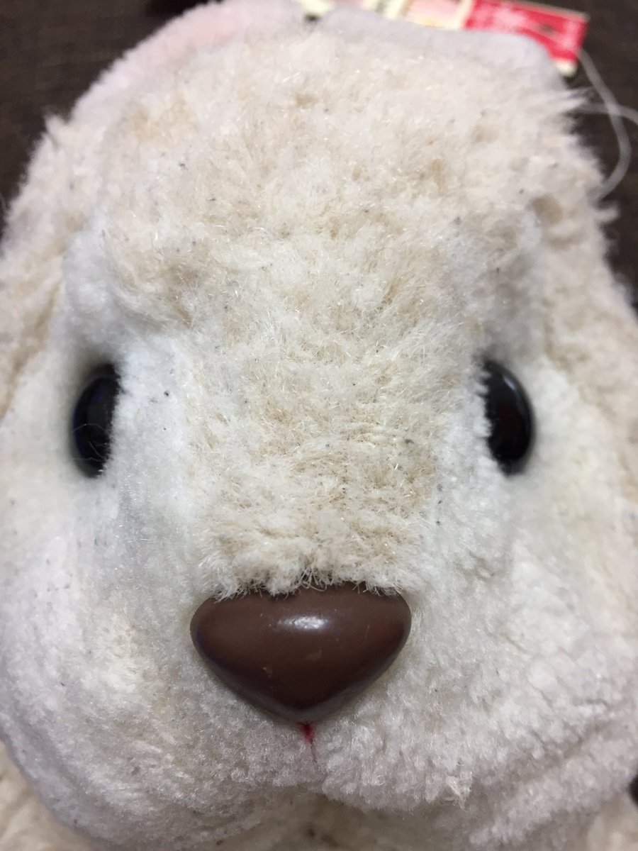 ぬいぐるみ依存症