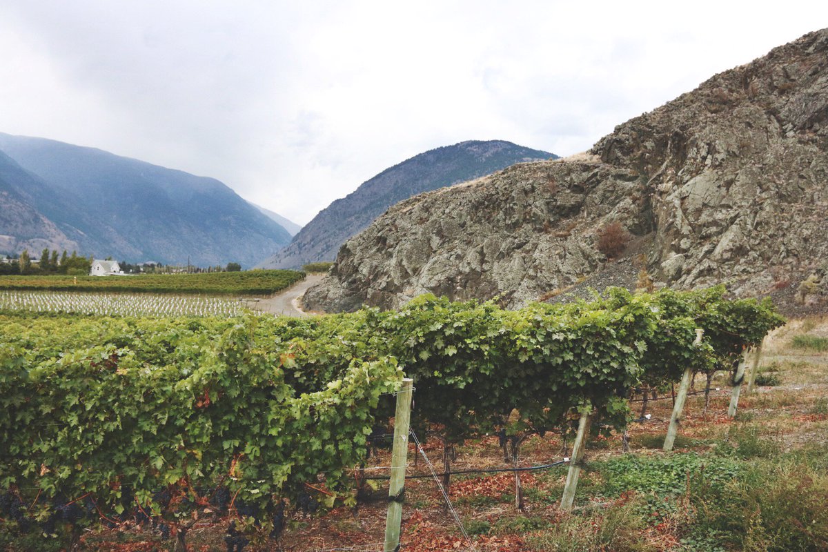 SimilkameenBC's tweet image. The beautiful @corcelettes Estate Winery in the #Similkameen. How interesting is this landscape? #exploreBC