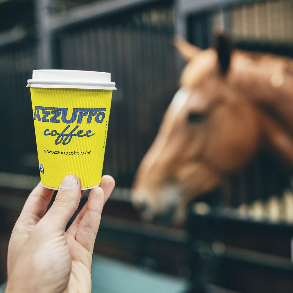 AzzurroCoffee's tweet photo. As satisfying as it gets ☕️ Welcome to Autumn 🍃 https://t.co/YEShOixxMt