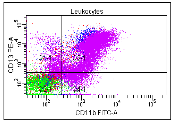 RoyalMicroSoc tweet picture