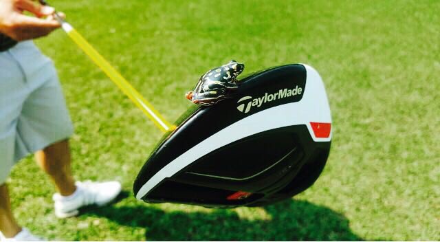 TaylorMadeSA's tweet photo. Everybody is getting on board! #TMFaM1ly #MadetoWin https://t.co/BQq6WkRbPz