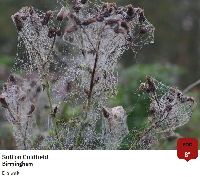 BBCWthrWatchers tweet picture