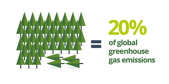 We're piloting new satellite tech to support our #ZeroDeforestation commitment: bddy.me/2dUbvbe <a href="/AirbusDS/">Airbus Defence&Space</a> @TheForestTrust #SarVision