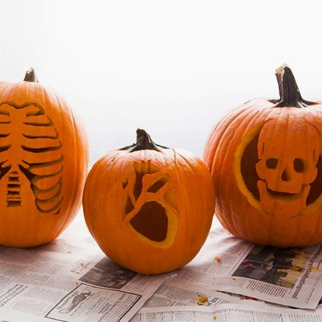 SocialAlertsDC's tweet photo. https://t.co/LLyVGZiB5M via @risdc | #DC #DCNightlife #DMVNetwork #DCEvents #dca1
#risdc > Interested in some fun pumpkin carving? Joi https://t.co/V0cAZ7S2cF