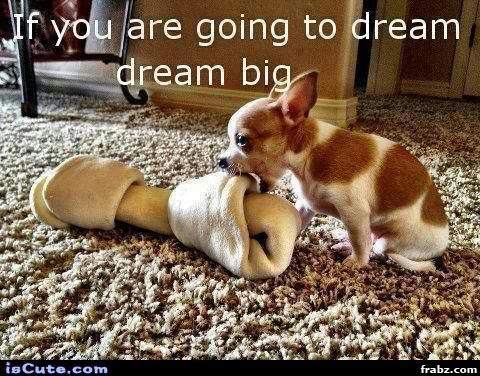ECCNinc's tweet photo. #Eccn #security #dreambig #TuesdayMotivation #Haveaniceday https://t.co/E7B3SLkUVU